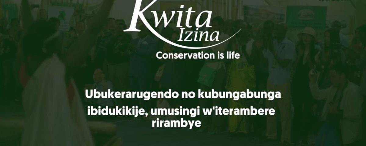 Rwanda Gorilla naming ceremony- Kwita Izina 2023