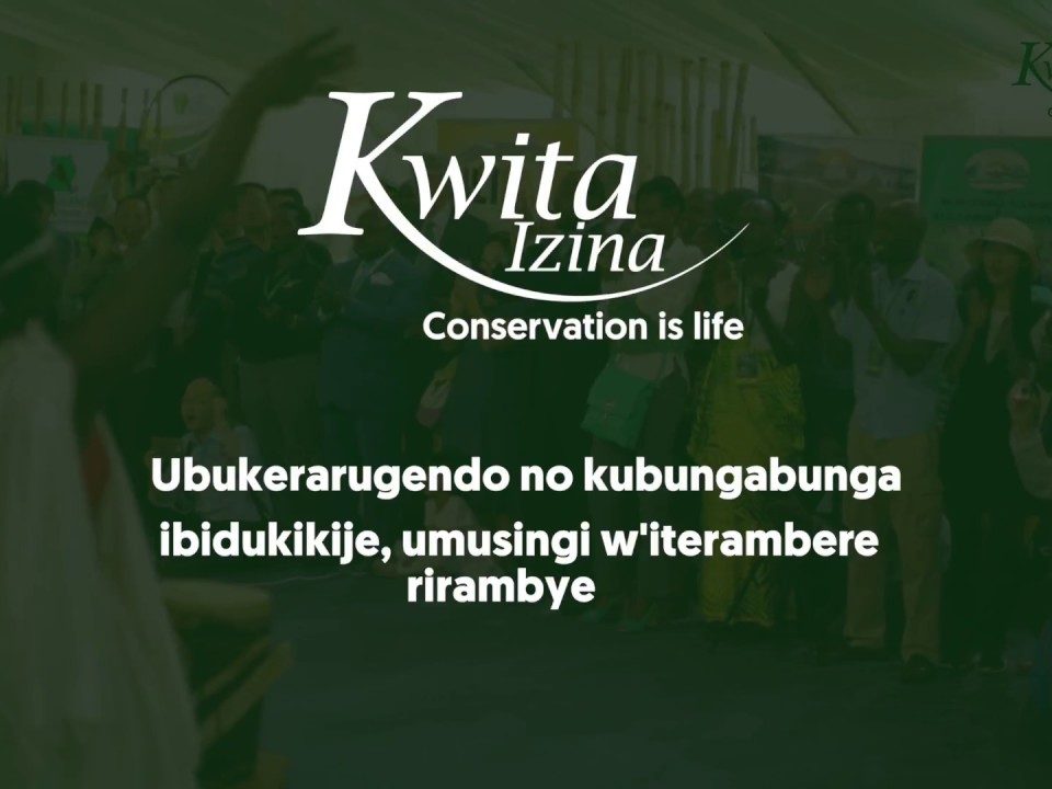 Rwanda Gorilla naming ceremony- Kwita Izina 2023