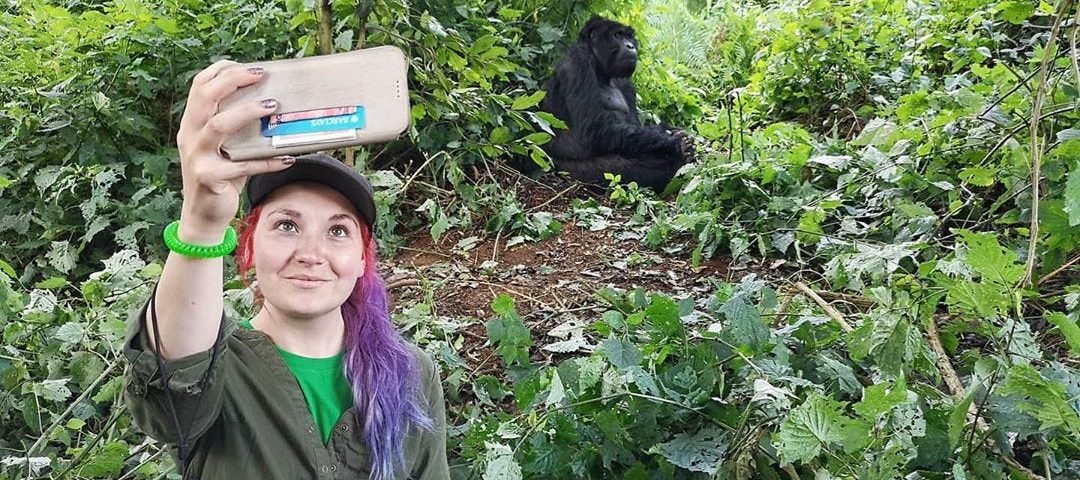 When to go Gorilla trekking| Choose the best time