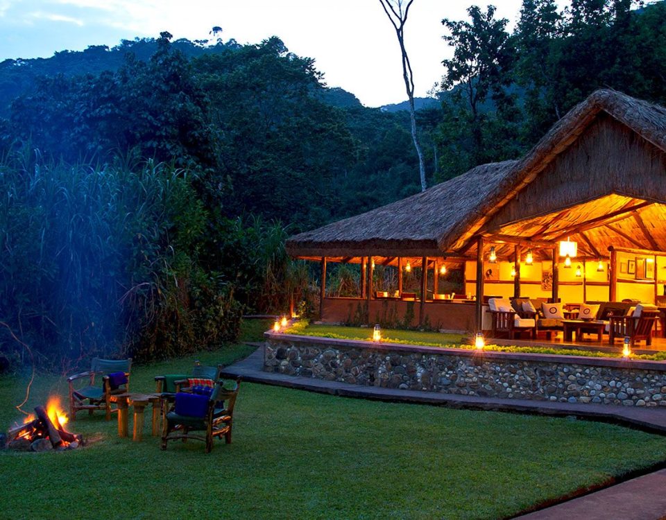 Gorilla Trekking outstanding lodges in 2025