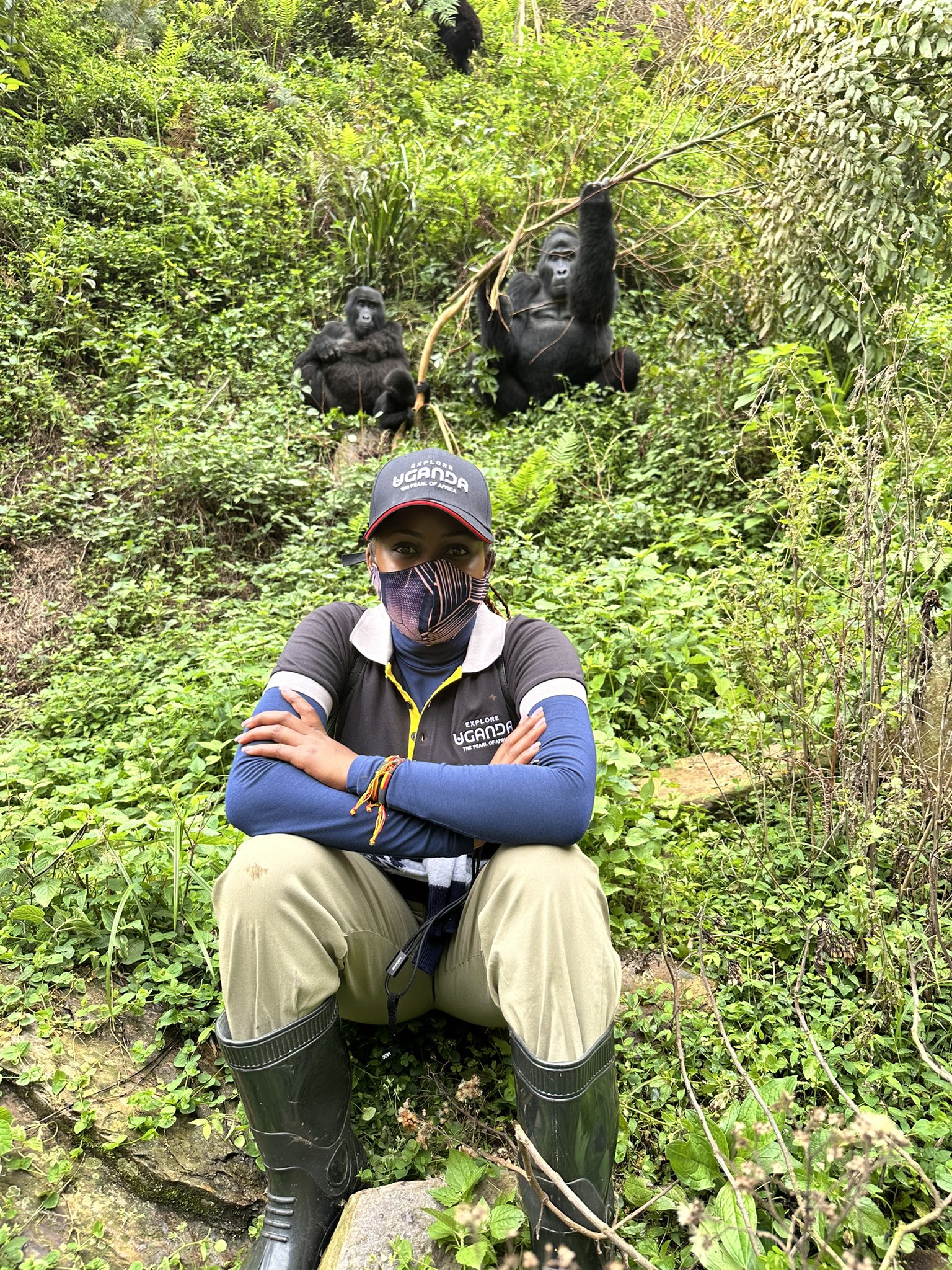 Tourists pausing with a silverback on a gorilla trekking experience in Bwindi impenetrable national park