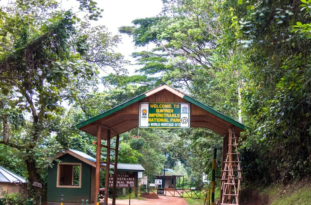 Buhoma sector entrance, one of the gorilla trekking points in Bwindi impenetrable national park.