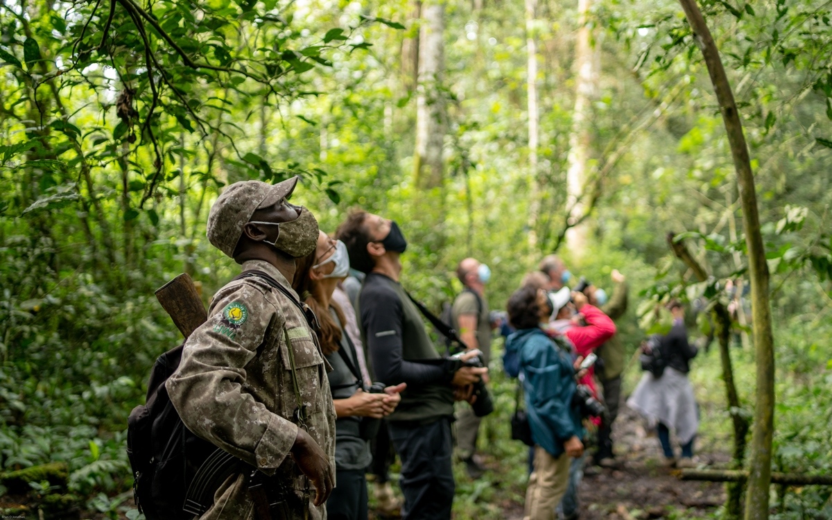 Ranger guide interacting with his tourists in the forest while trekking