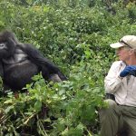 How much is Gorilla trekking in Rwanda: Gorilla Trekking cost