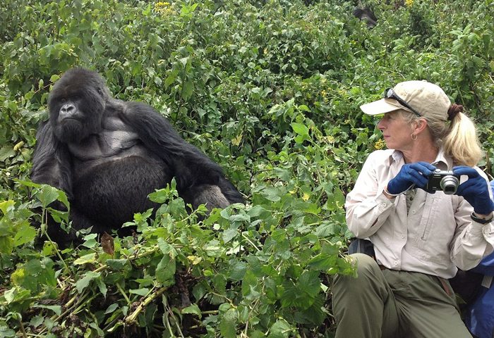 How much is Gorilla trekking in Rwanda: Gorilla Trekking cost