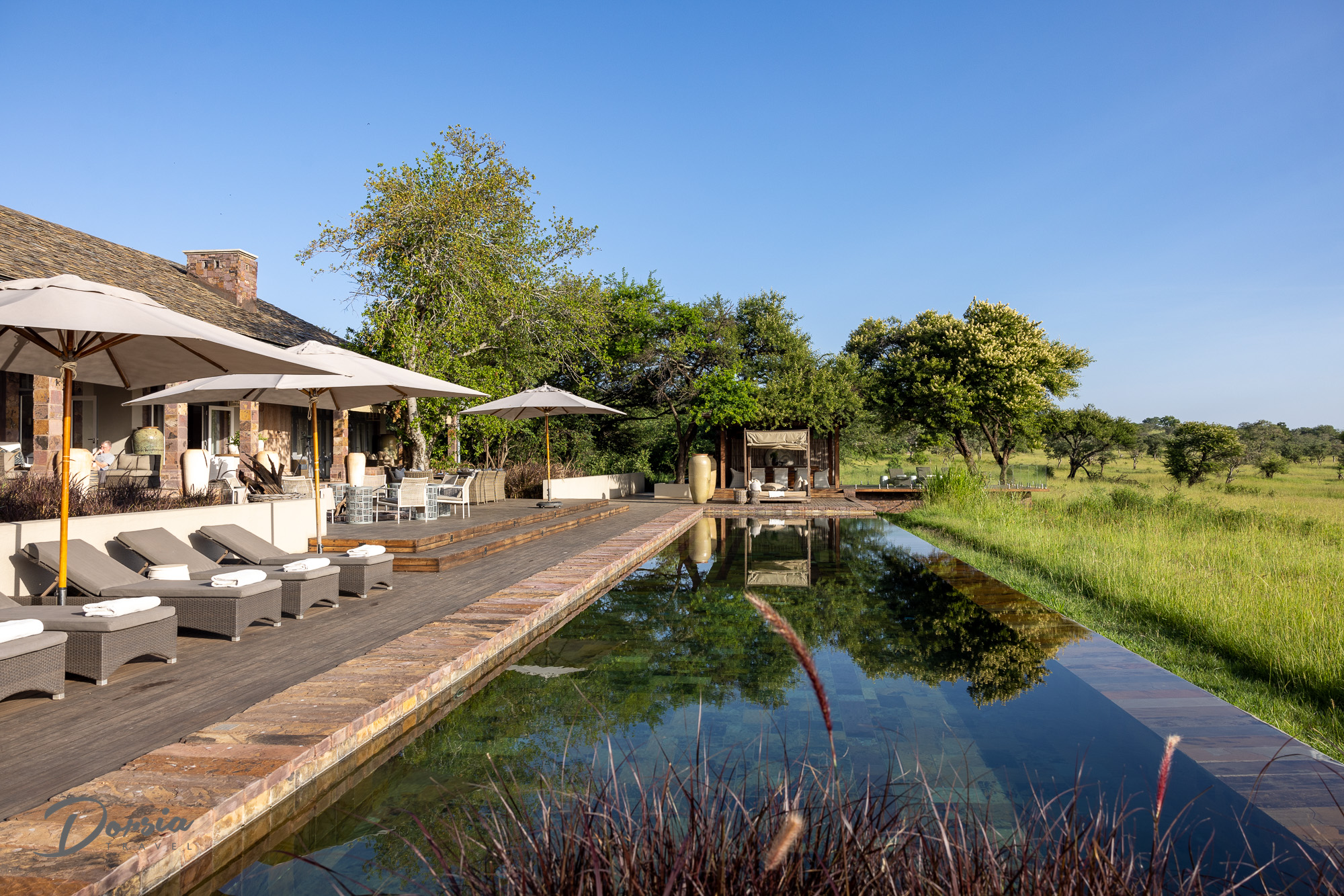 Serengeti House