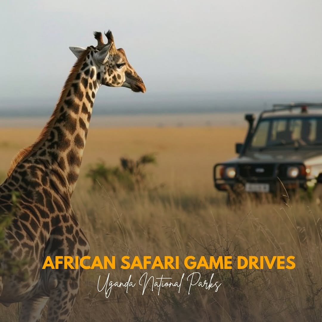 7 Compelling Reasons to Visit Uganda