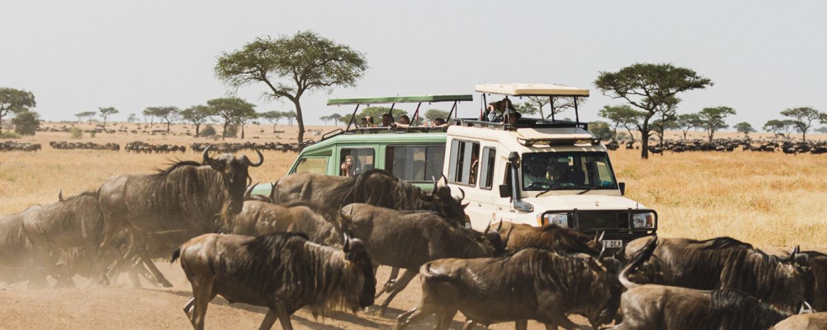 Packing for Serengeti wildebeest safari