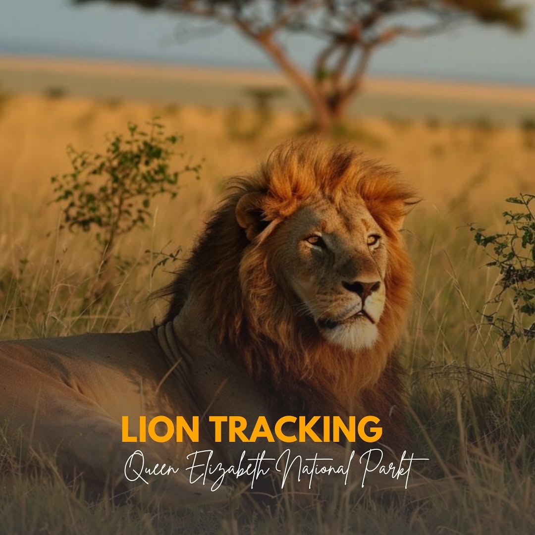 7 Compeling Reasons to Visit Uganda