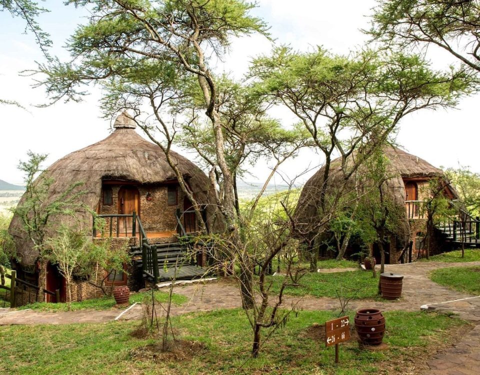 Where to stay in Serengeti National park