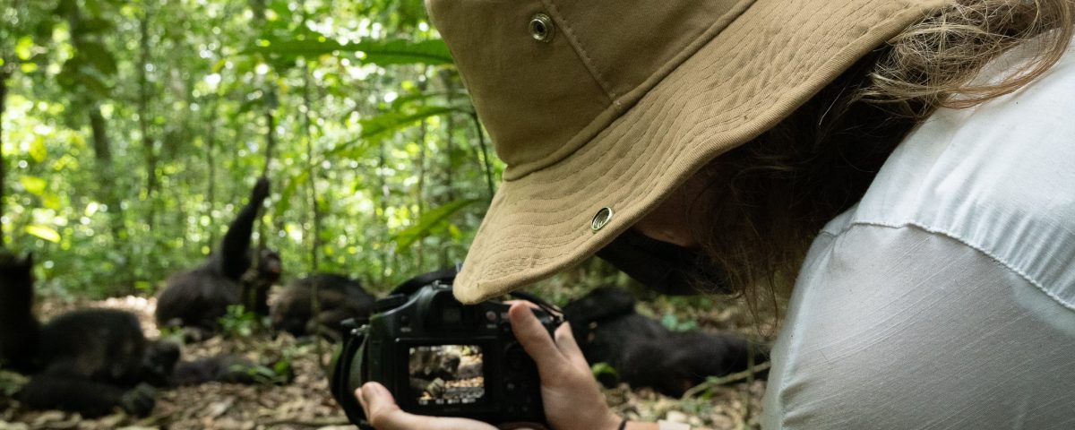 Complete Guide to Kibale Forest National Park