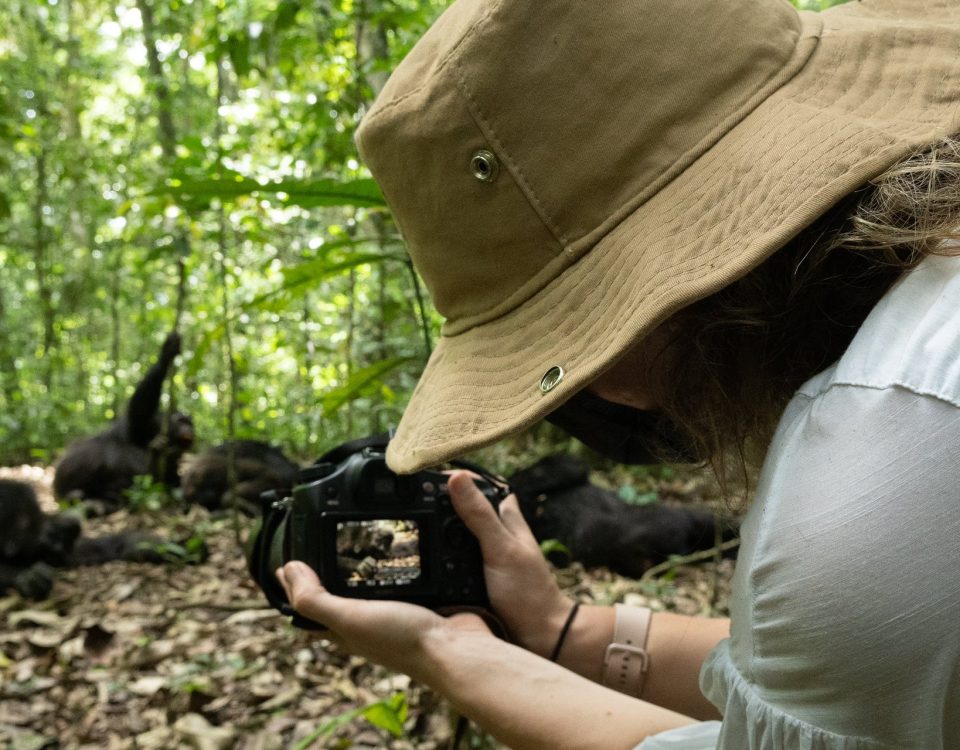 Complete Guide to Kibale Forest National Park