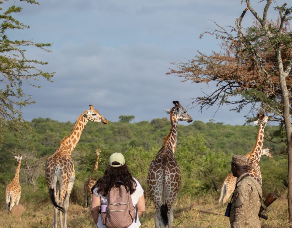 Exploring Lake Mburo: Uganda’s Hidden Safari Gem