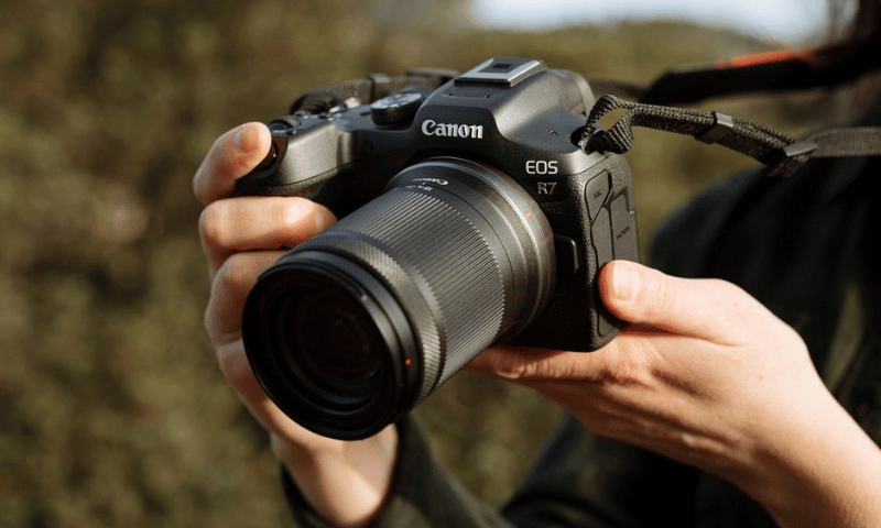 Best Safari Cameras for Wildlife Photography
