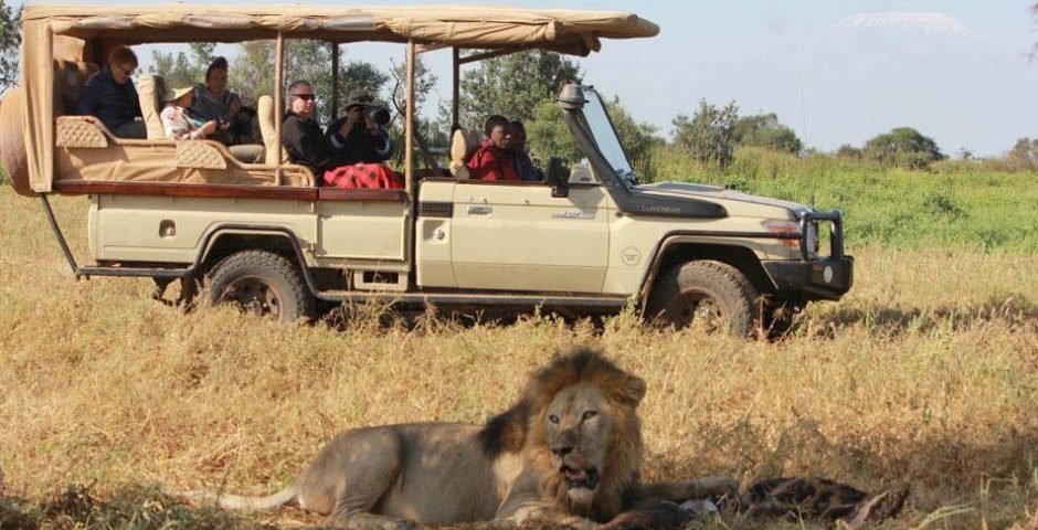 Fly-In vs Drive-In Safari in Uganda