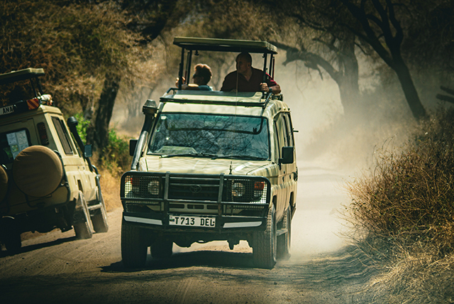 Uganda Gorilla & Wildlife Safari